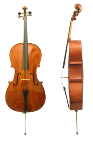 violonchelo